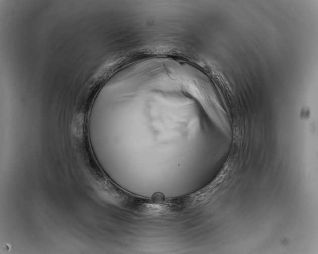 X0000100210167200806131300