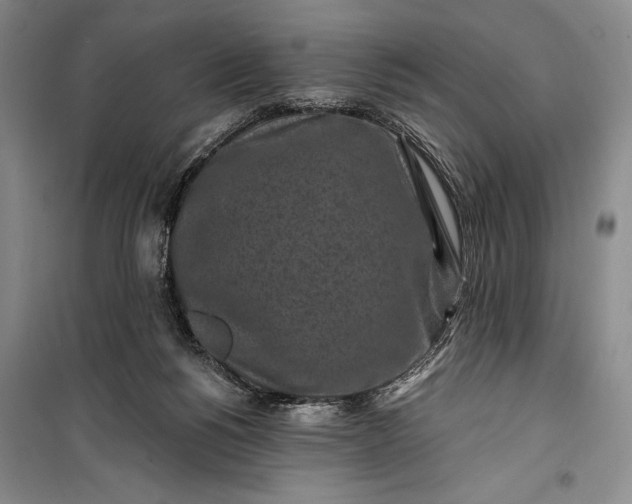 X0000100210168200806131300