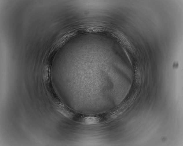 X0000100210169200806131300