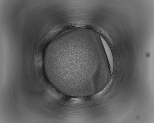 X0000100210170200806131300