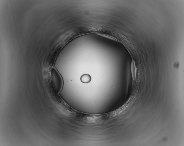 X0000100210172200806131300