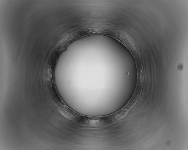 X0000100210173200806131300