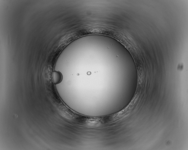 X0000100210175200806131300