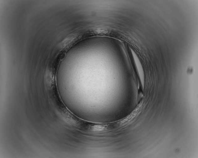 X0000100210176200806131300