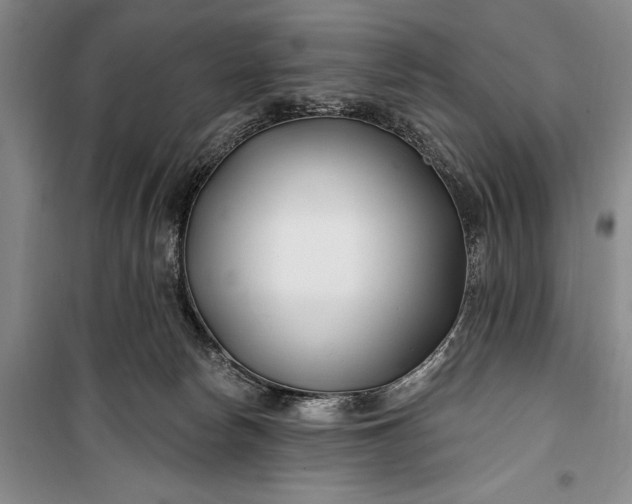 X0000100210178200806131300