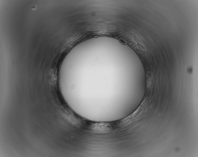 X0000100210179200806131300