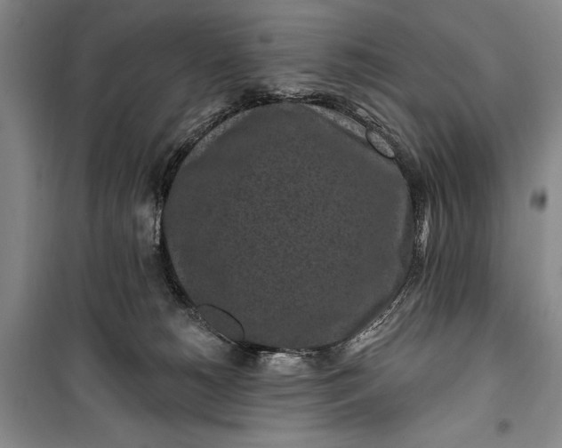 X0000100210180200806131300