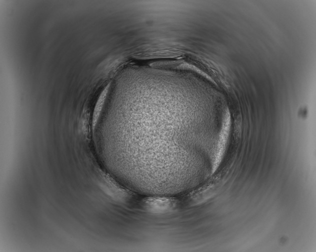 X0000100210181200806131300