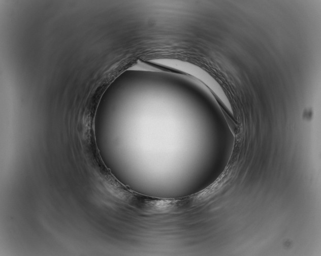 X0000100210184200806131300