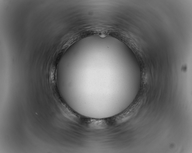 X0000100210185200806131300