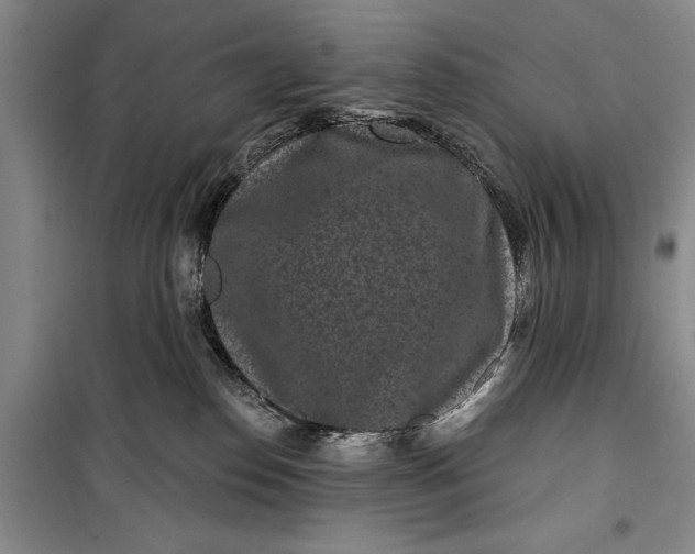 X0000100210186200806131300