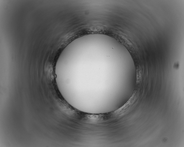 X0000100210187200806131300