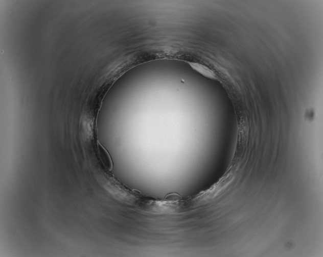 X0000100210188200806131300