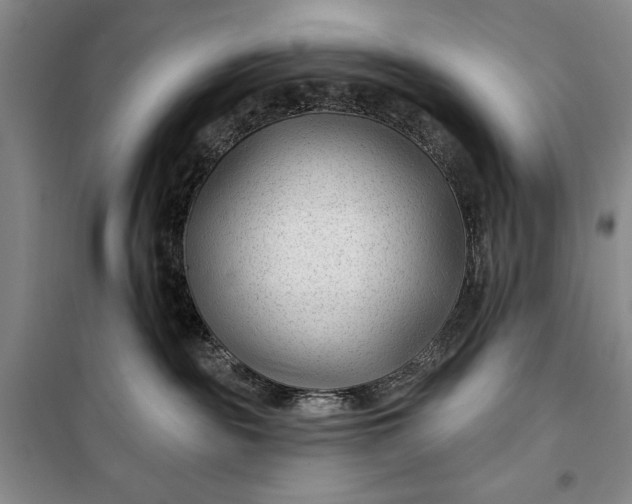 X0000100210189200806131300