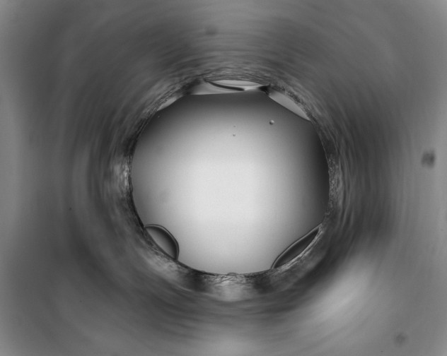 X0000100210191200806131300