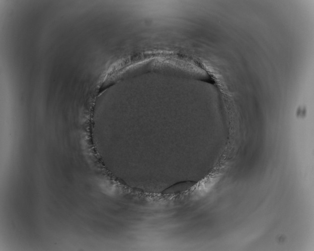 X0000100210192200806131300