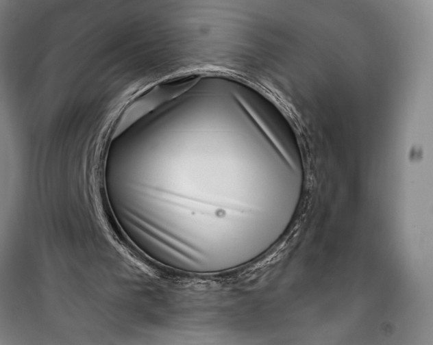 X0000100210193200806131300