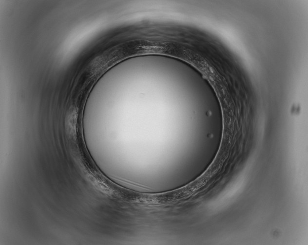 X0000100210194200806131300