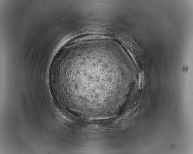 X0000100210195200806131300