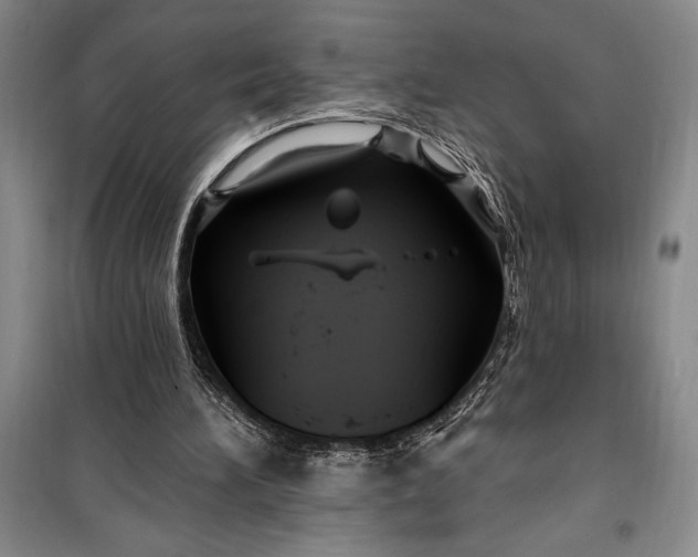 X0000100210196200806131259