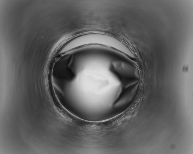 X0000100210197200806131259