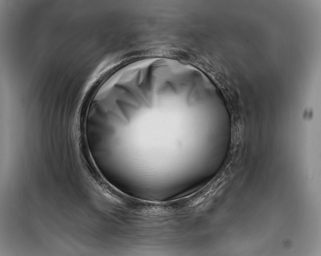 X0000100210198200806131259