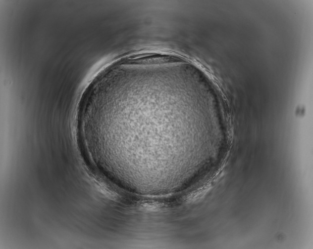 X0000100210199200806131259