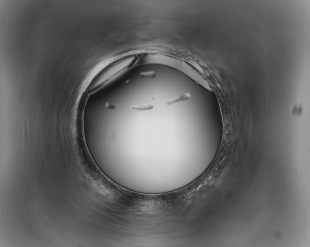 X0000100210200200806131259