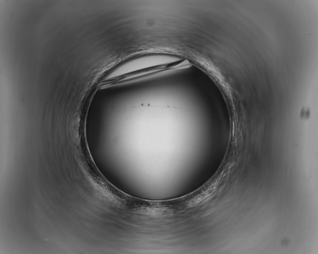 X0000100210201200806131259