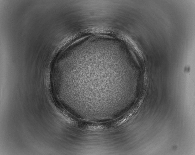 X0000100210202200806131259