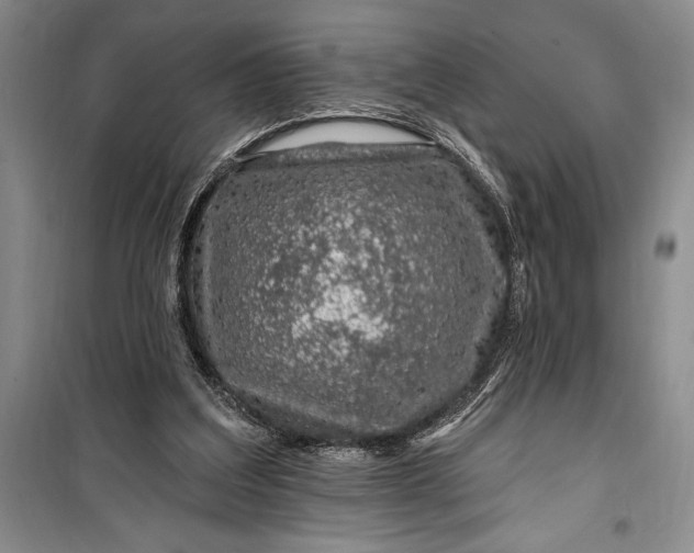 X0000100210203200806131259