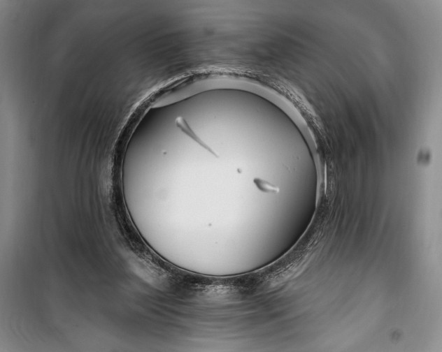 X0000100210204200806131259