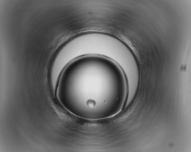 X0000100210205200806131259