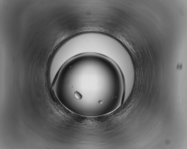 X0000100210207200806131259