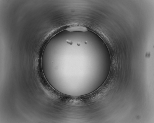 X0000100210208200806131259