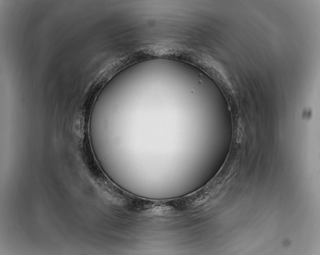 X0000100210210200806131259