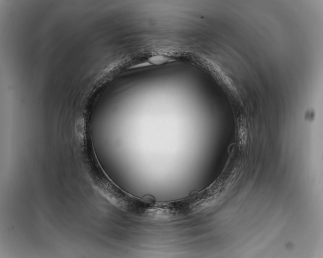 X0000100210211200806131259