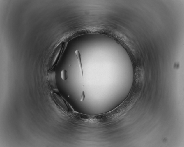 X0000100210212200806131259