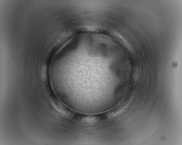 X0000100210213200806131259