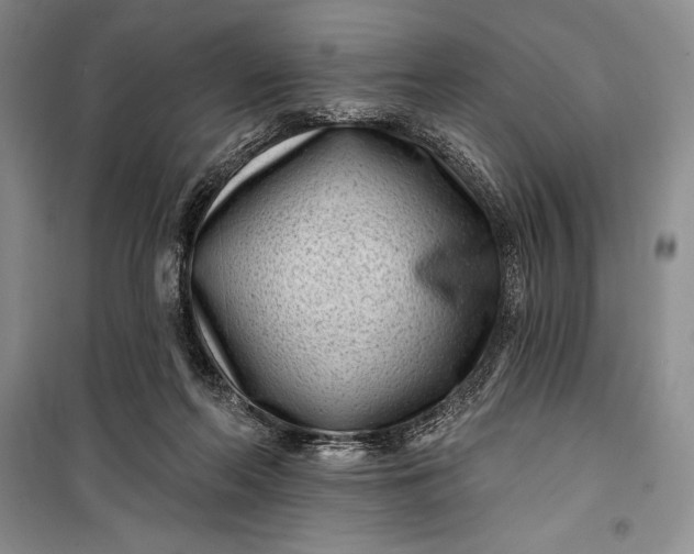 X0000100210214200806131259