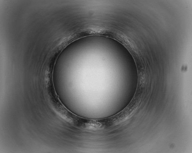 X0000100210215200806131259