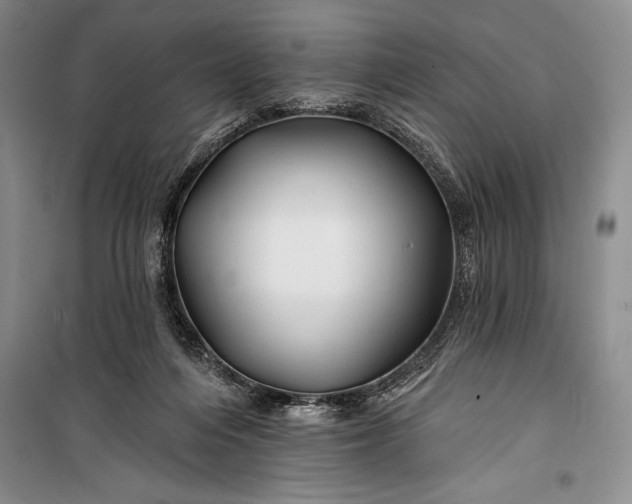 X0000100210216200806131259