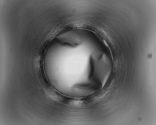 X0000100210217200806131259