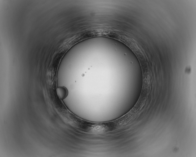 X0000100210218200806131259