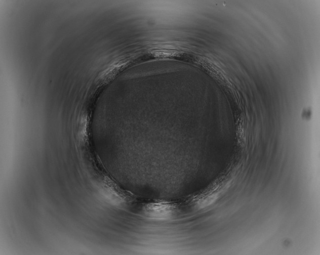 X0000100210219200806131259