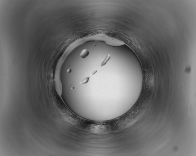 X0000100210220200806131259