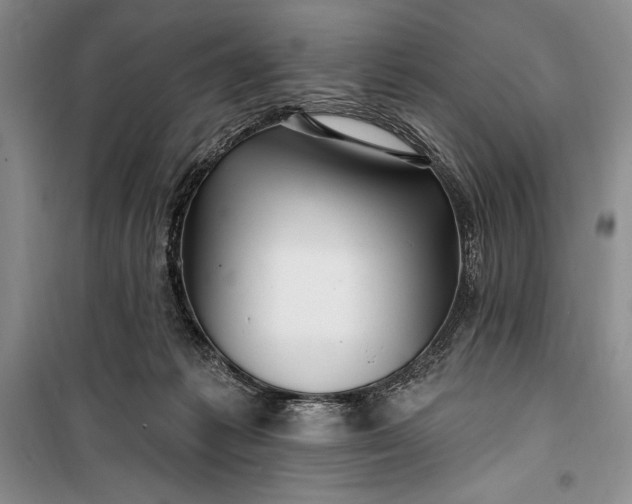 X0000100210221200806131259