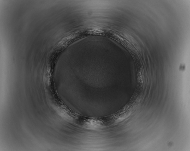 X0000100210223200806131259