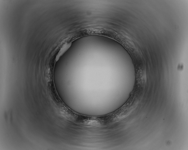 X0000100210224200806131259