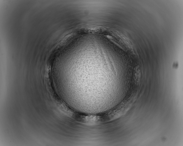 X0000100210225200806131259